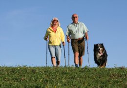 Ferien mit Hund in Südtirol
