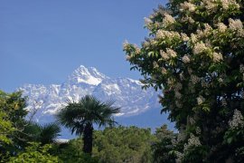 Ferienregion Meraner Land Südtirol