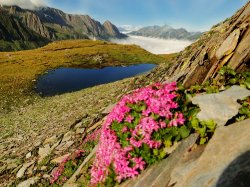 Bergsee in der Nähe vom Pfitscher Joch