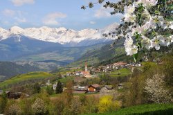 Das sonnige Feriendorf St. Andrä bei Brixen mit den eindrucksvollen Zillertaler Alpen
