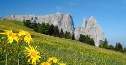 Europas größte und schönste Hochalm - die Seiser Alm und der Schlern