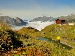 96  250x188 pfitscher joch haus Almurlaub