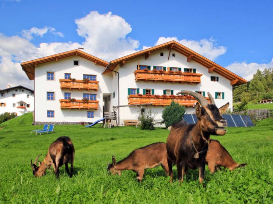 Kienzlhof