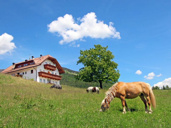 Niederhäusererhof