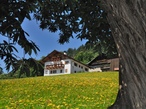 Wöhrmannhof
