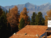 Die Roner Alm  Urlaub in Südtirol auf der Rodenecker Alm (2)