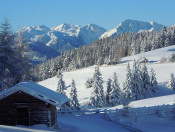 Die Roner Alm  Urlaub in Südtirol auf der Rodenecker Alm (3)