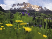 Alta Badia bietet weitläufige Almen und Blumenwiesen für sommerliche Wanderungen vor der Kulisse am berühmten Sellastock.