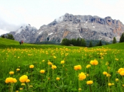 armentara-wiesen-zehnerspitze