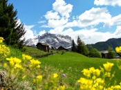 Der imposante Heiligkreuzkofel vor blühenden Almen in Alta Badia