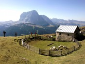 apartment-kristyn-groeden-wandern