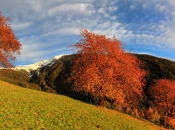 herbst-st_leonhard-richtung-plose