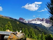 Relaxen auf den Holzliegestühlen in der Nähe von Kreuztal mit Blick auf die Aferer Geisler