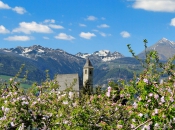 Kirchlein von Viums inmitten der Apfelblüte, im Hintergrund die mächtige Wilde Kreuzspitze