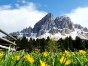 Frühling auf dem Würzjoch mit Blick auf den mächtigen Peitler Kofel