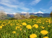 Frühling in Natz/ Schabs mit Blick auf Meransen