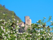 burg-hocheppan-fruehling