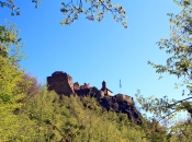 burg-hocheppan-wald