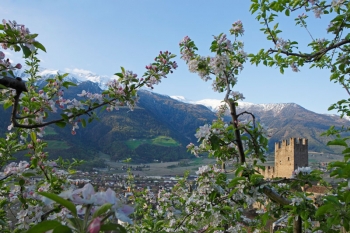 Frühlingsreisen nach Südtirol - Naturns