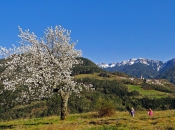 fruehling-feldthurns-blick-auf-teis