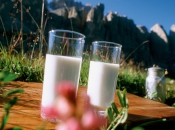 ferien-am-bauernhof-suedtirol-milch