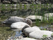 froetscherhof-brixen-teich2