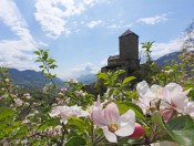 Frühlingsurlaub Südtirol