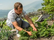 gasserhof-brixen-hofprodukte