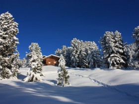 Gasthof zur Sonne