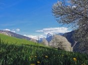 fruehling-lajen-groednertal