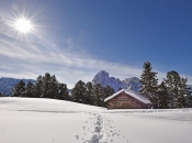 groeden-seurasas-scheune-vor-langkofel