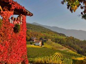 Herbsturlaub in Südtirol