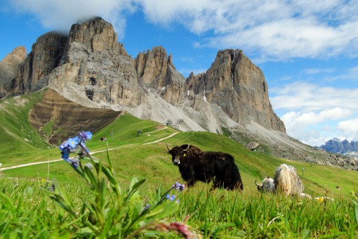 Wandern im Sommer