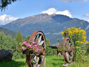 joselehof-ratschings-landurlaub