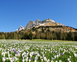 Große Dolomitenrunde