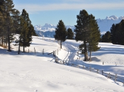 winterwandern-villanderer-alm