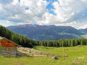 Ferien auf der Kleinalm im Vinschgau – Leben im Einklang mit der Natur