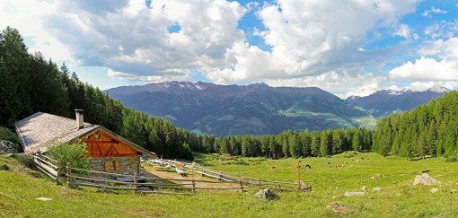 kleinalm-schlanders-panorama 