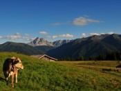 Kreuznerhof in Lüsen - Ihr Urlaub auf dem Bauernhof in Südtirol