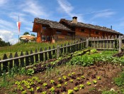  Almferien in Lüsen/ Südtirol auf der Kreuzwiesen Alm