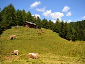 Selbstversorgerhütte Südtirol mieten - Einsame Berghütte mieten