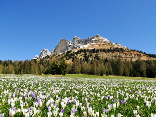 Wandern im Frühling