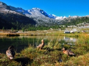 enten-naturpark-fanes