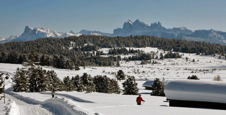 langlaufen-suedtirol 