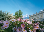 fruehling-meran