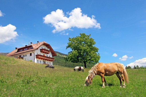 Niederhäusererhof