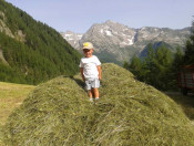 obermairhof-st-jakob-ahrntal-suedtirol (5)