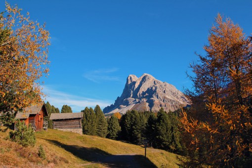 Wandern im Herbst