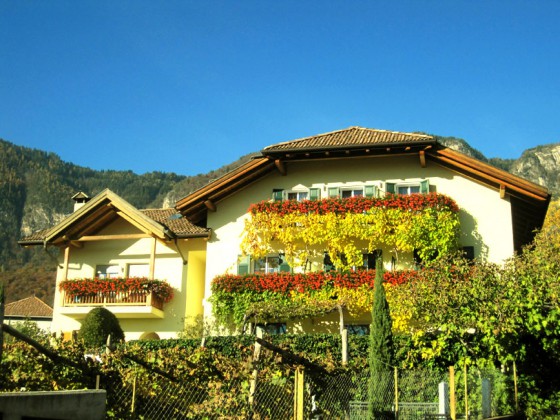 Penegalhof