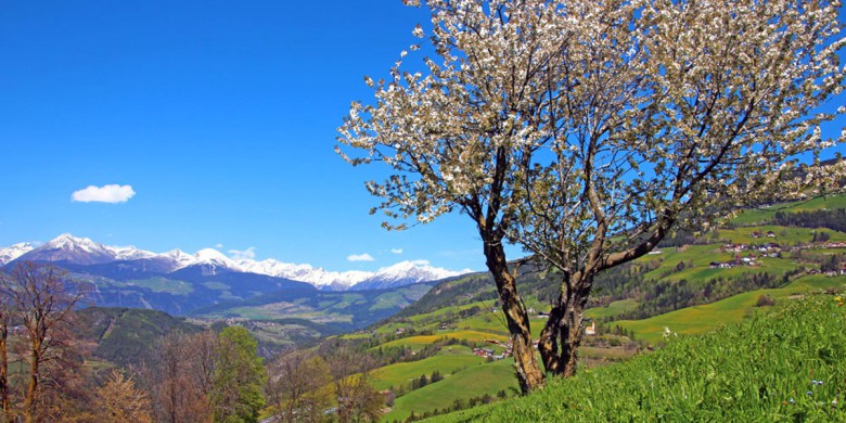 pfingsturlaub-suedtirol 